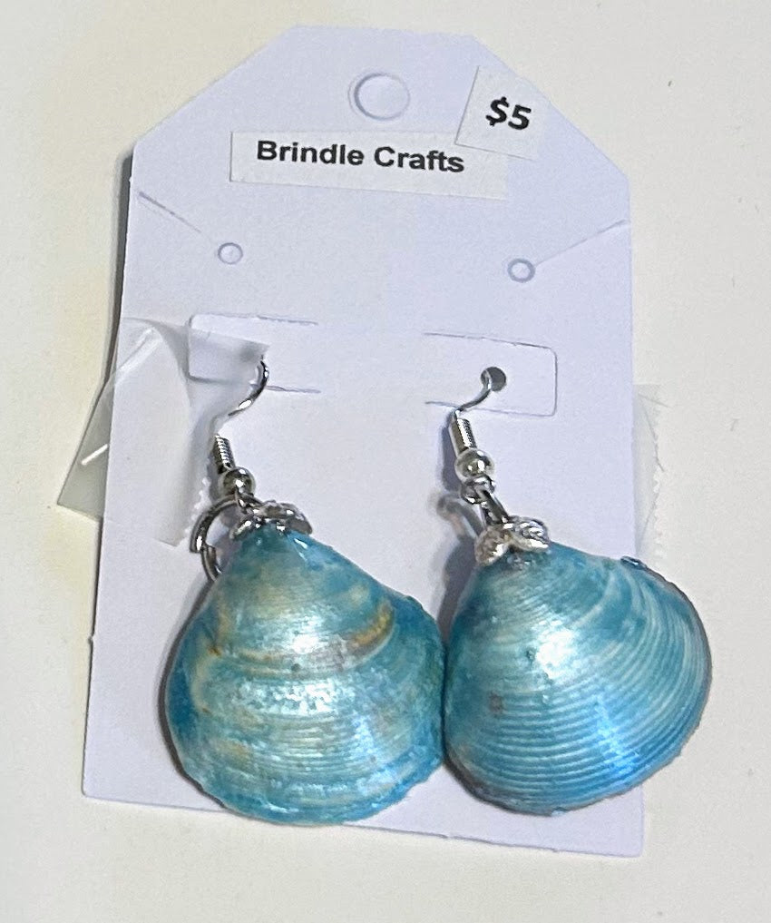 Blue sea shell earrings
