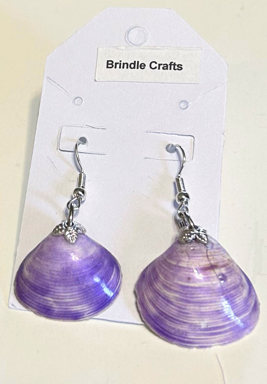 Earrings purple colored sea shell on silver hooks